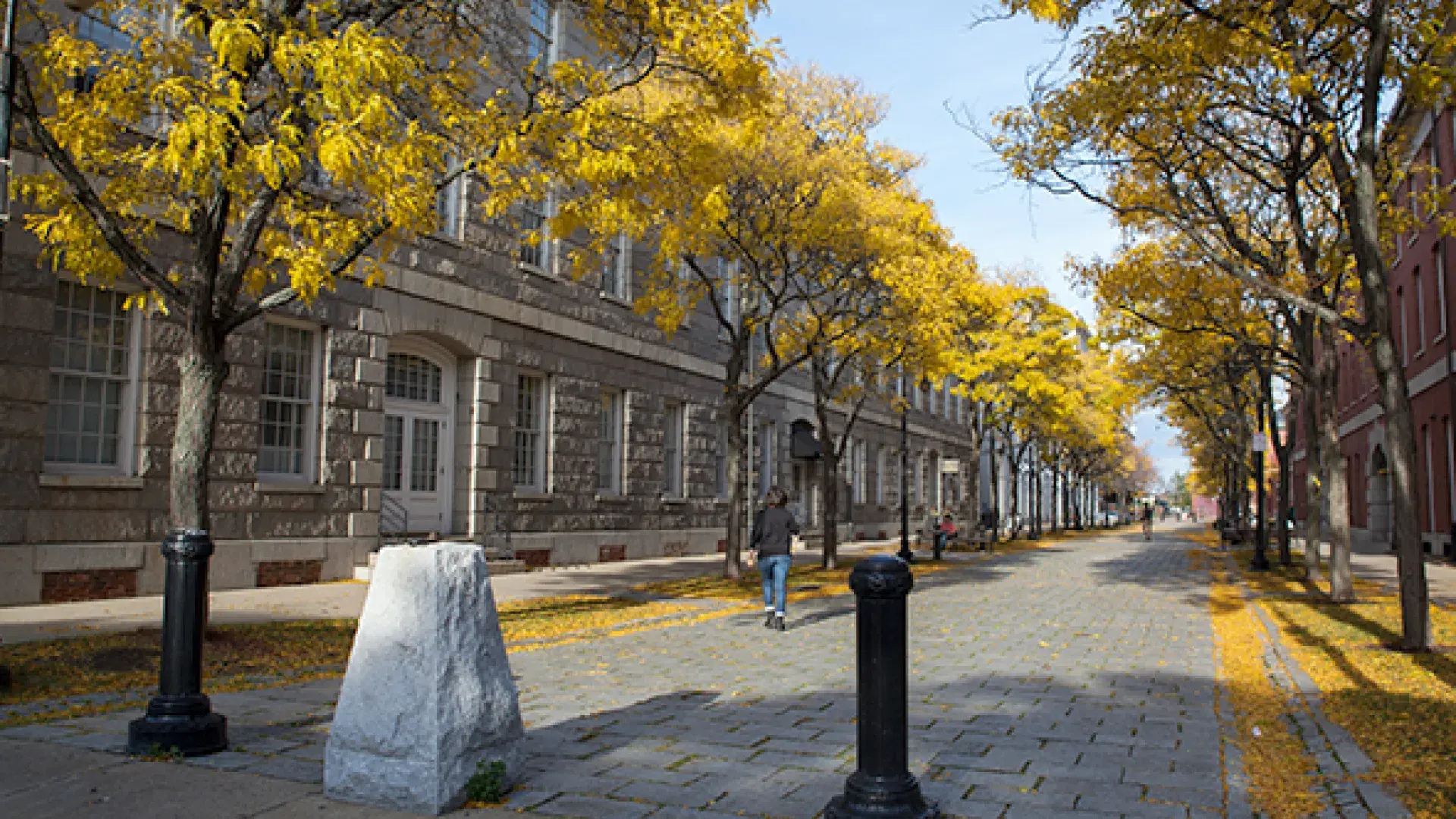 a cobblestone path is flanked by brick buildings and yellow fall trees