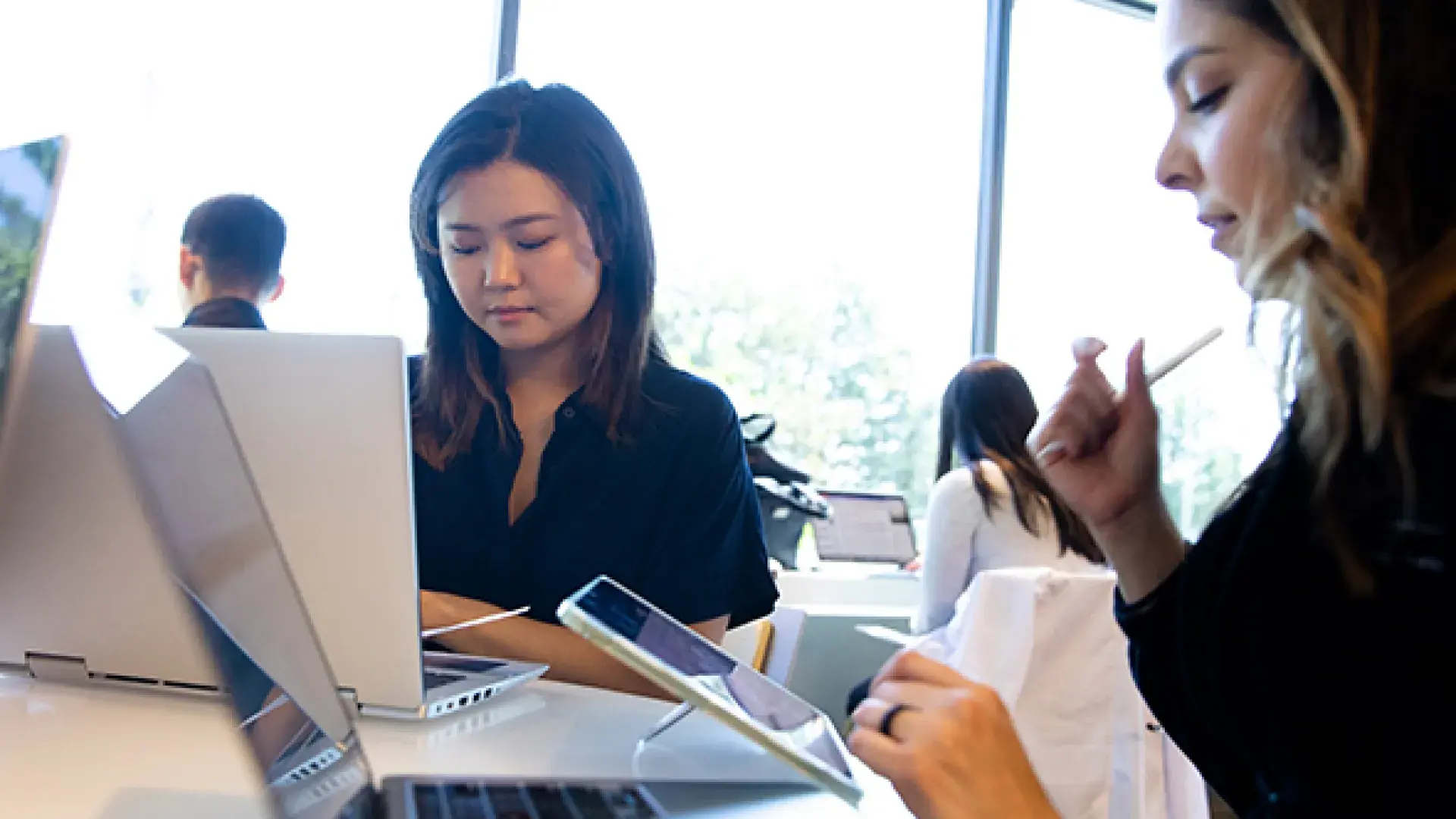 two women study on laptops in lounge