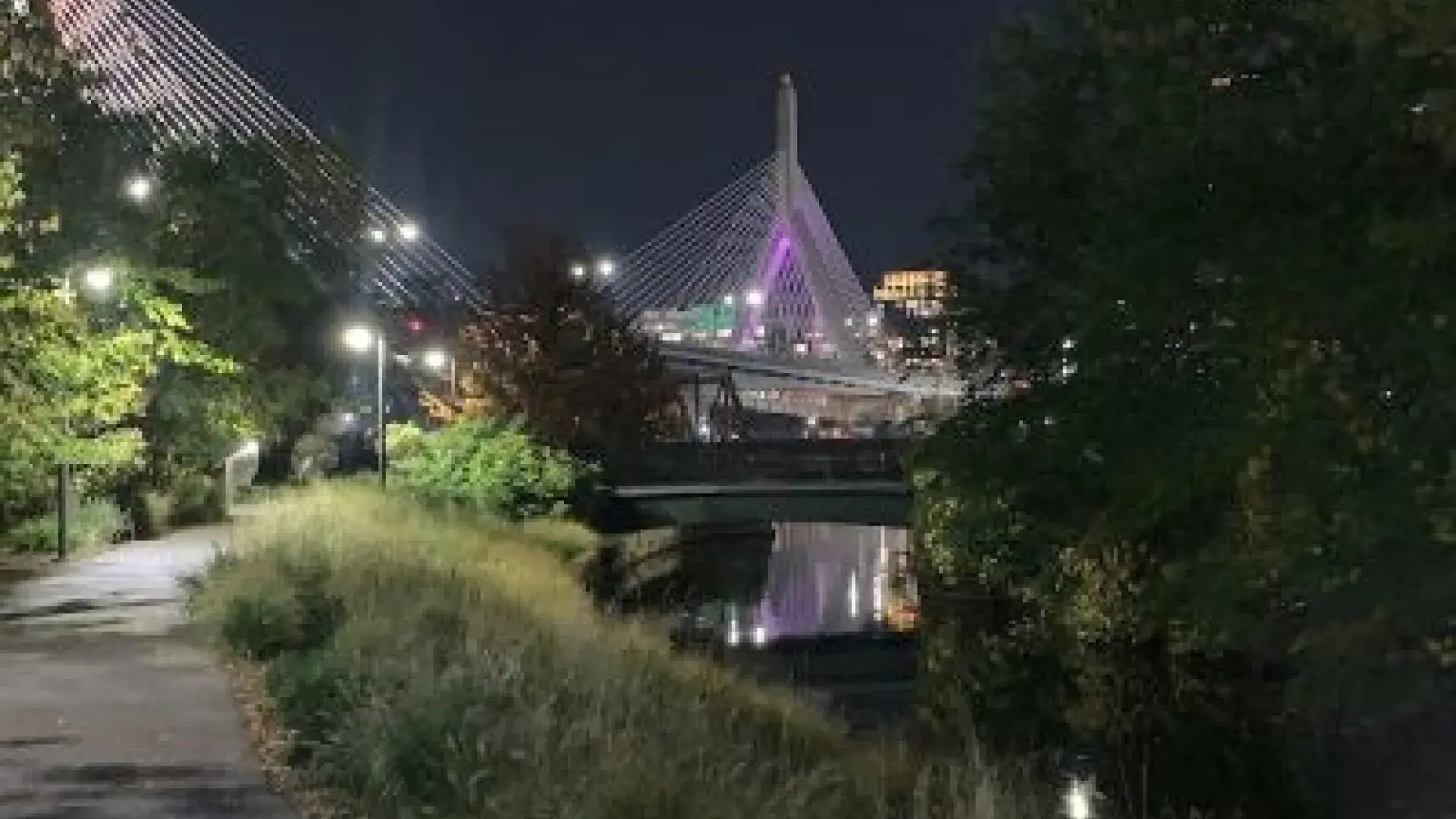 The Zakim lit purple to raise awareness of DLD.​​​