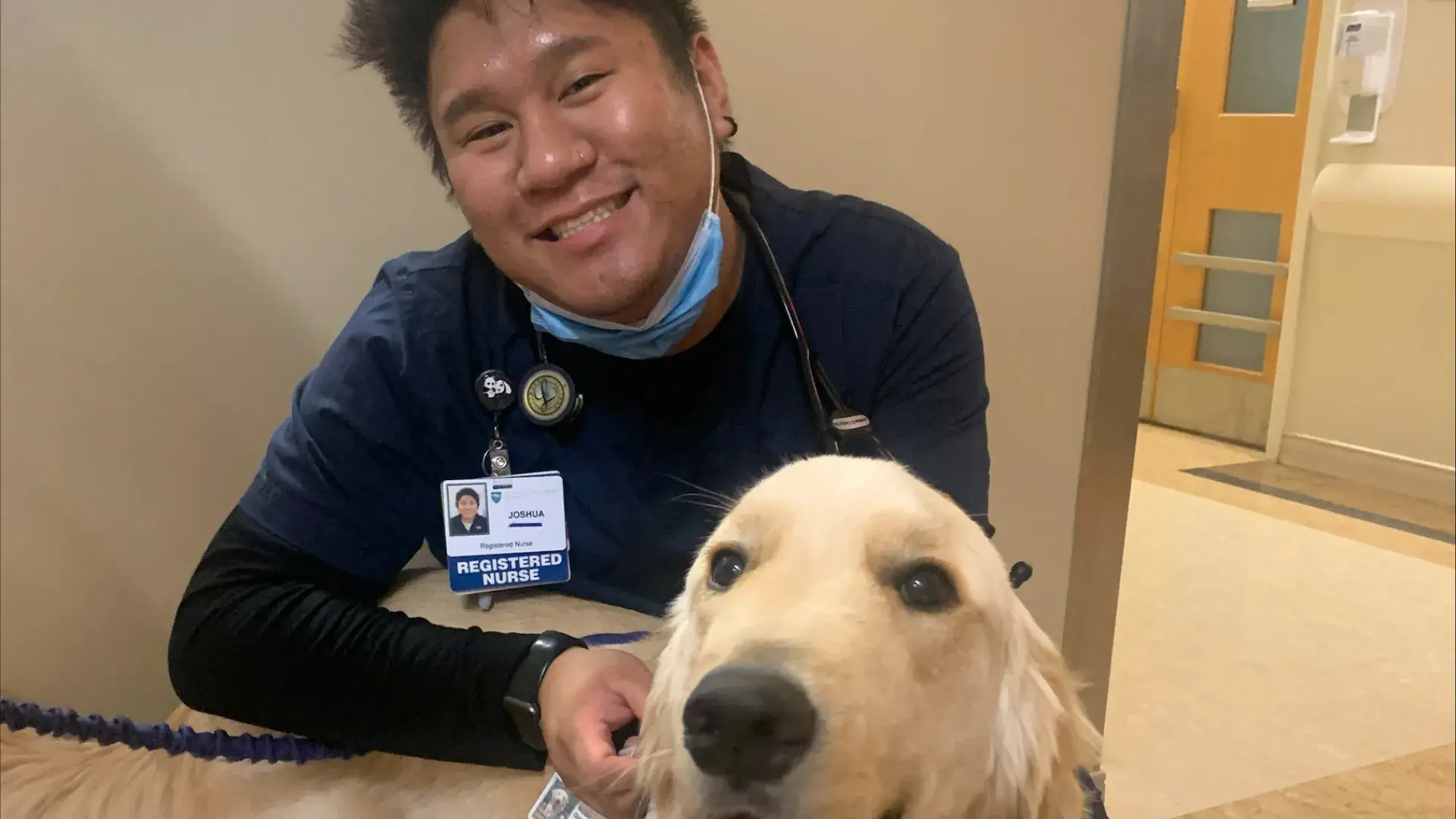golden retriever dog with man in scrubs squatting next to it