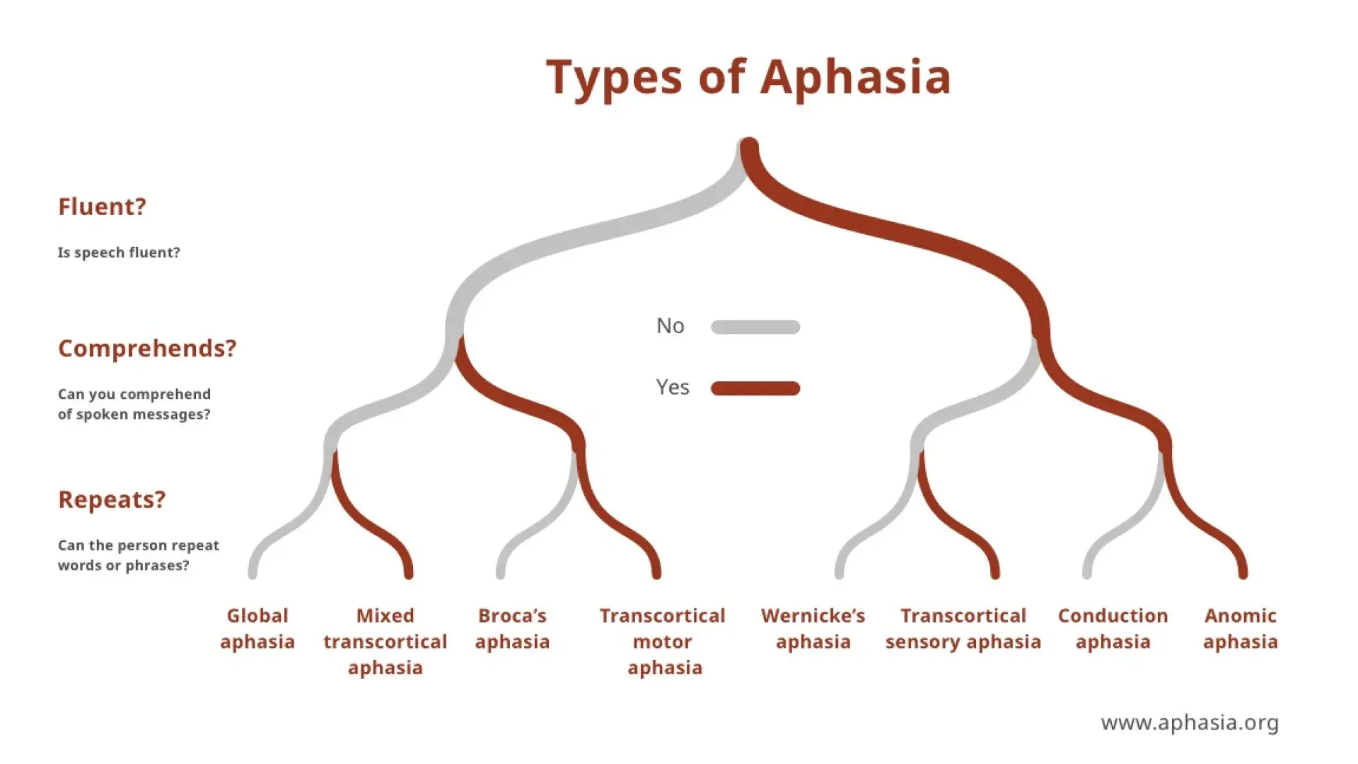 tree branches showing the types of aphasia from aphasia.org