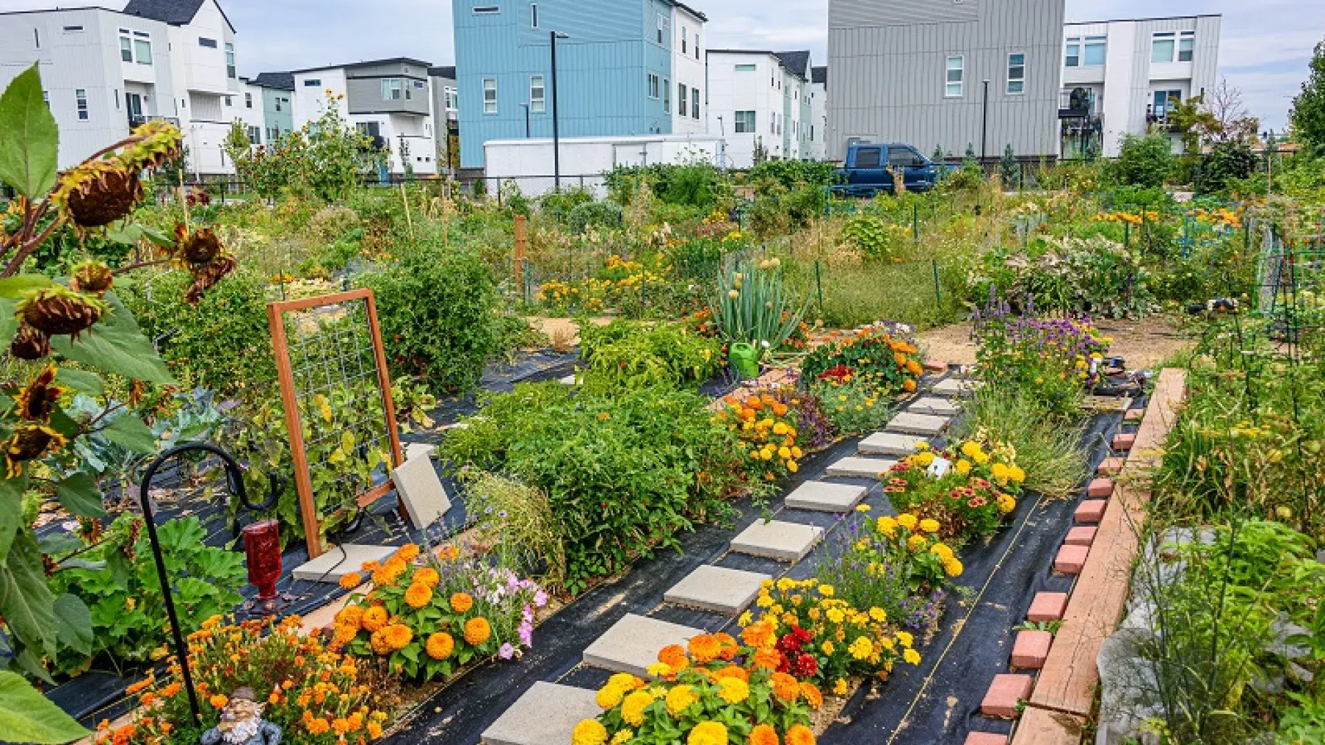 rows of green plants and flowers in front of apartment buildings