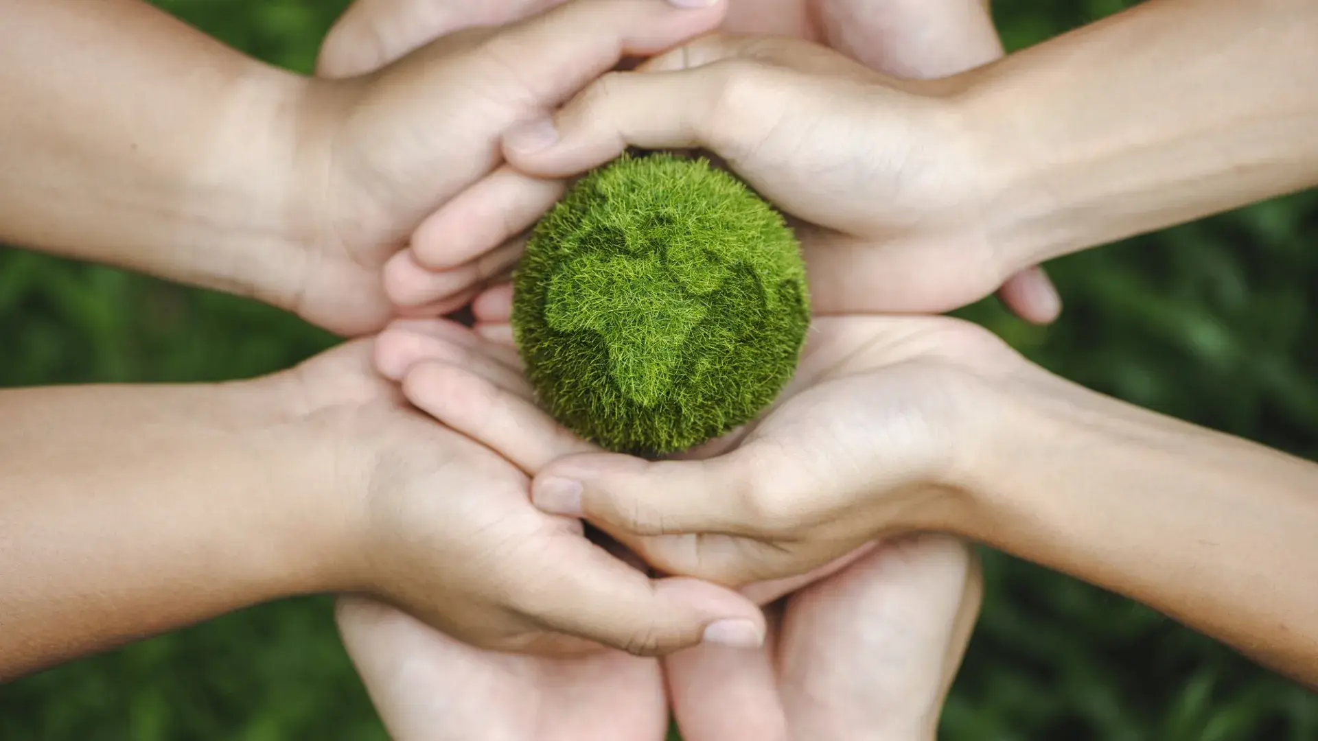hands holding a tiny earth made of green grass