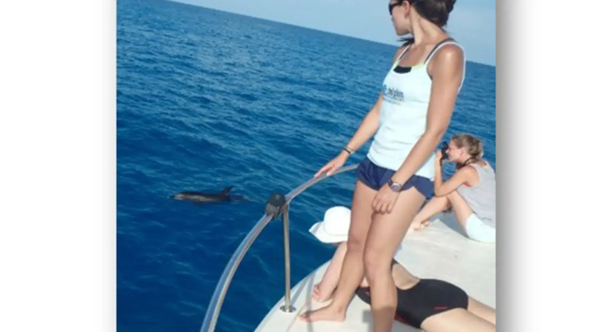 woman looks at dolphin from boat