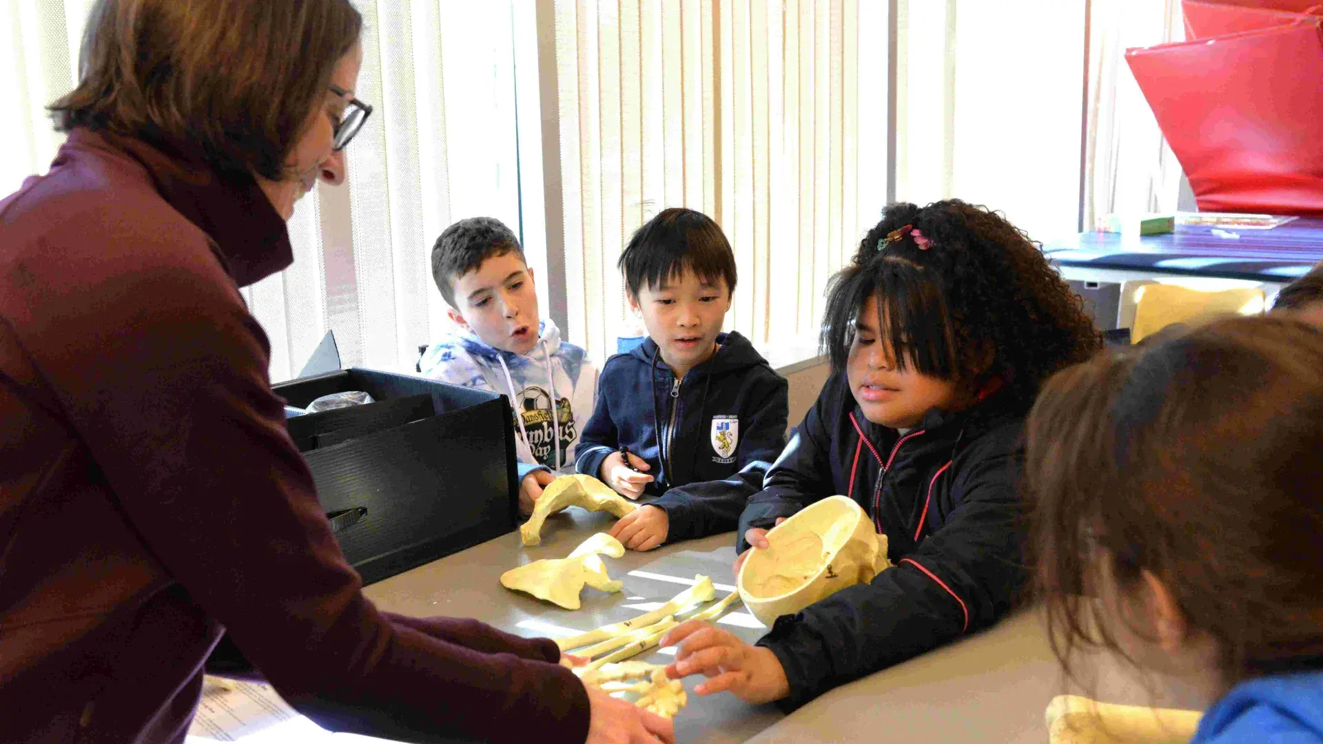 Pupils work with plastic skeleton bones