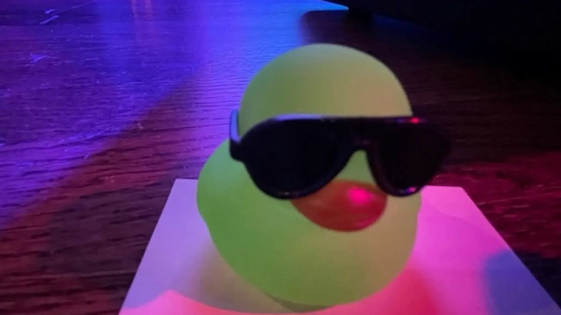 Yellow plastic duck wearing black sunglasses