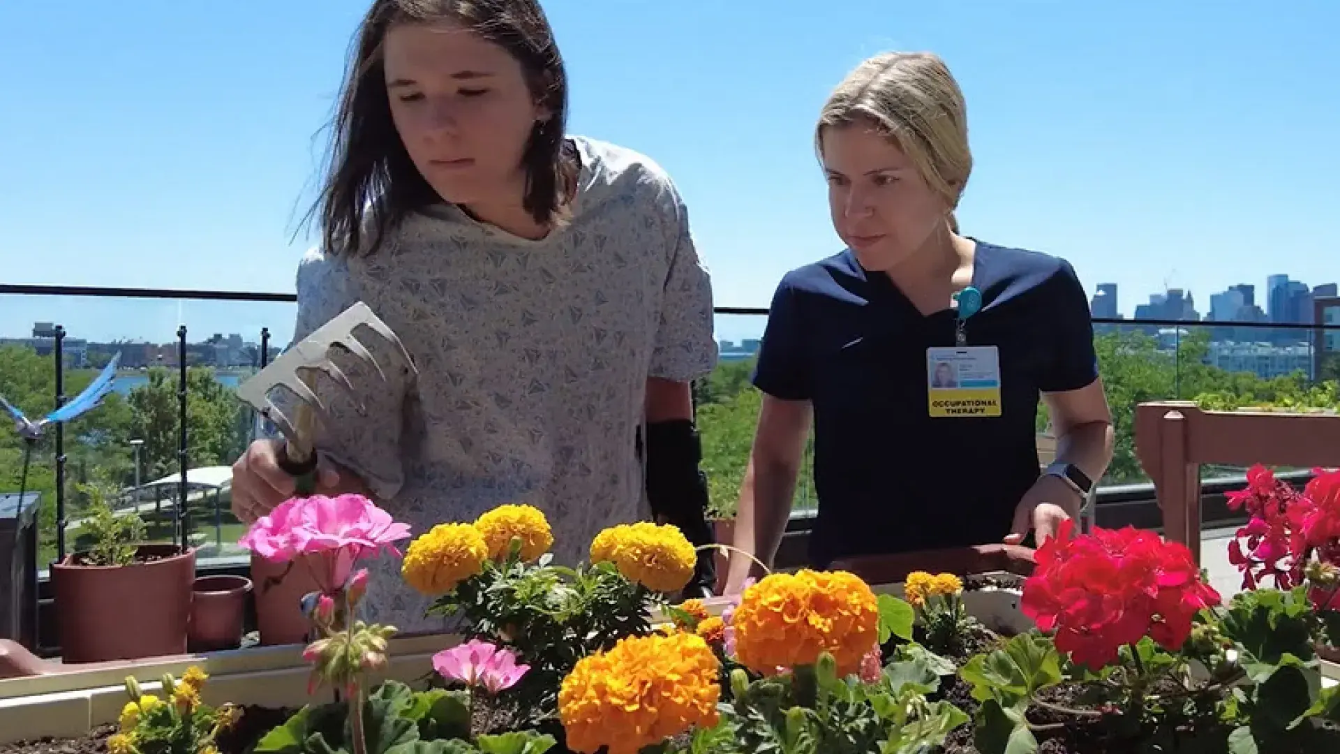 Occupational therapy student guiding a patient in therapeutic gardening on a rooftop, focusing on rehabilitation in the Doctor of Occupational Therapy program.