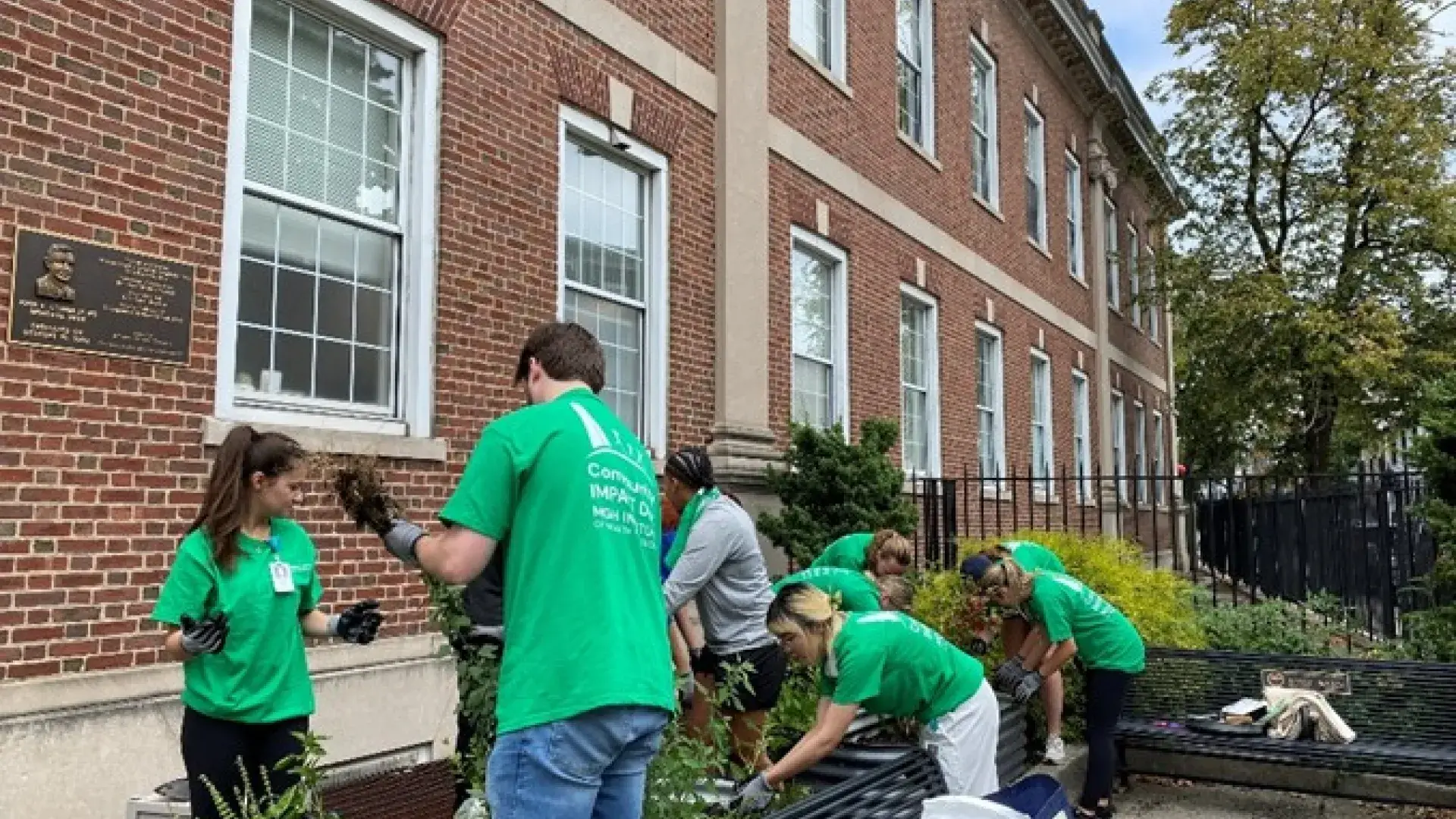 A group of people work on a flower bed