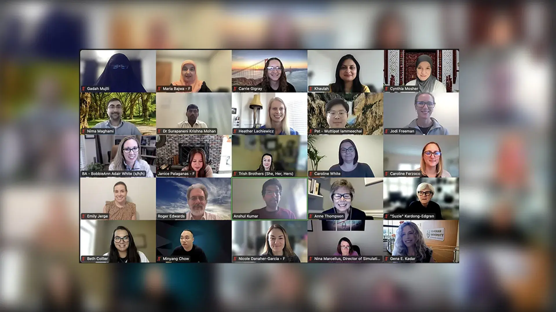 a screenshot of many faces in zoom windows