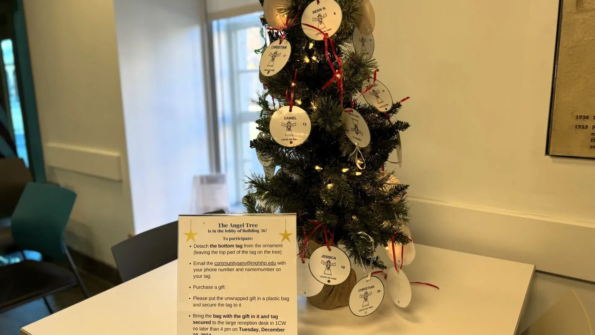 Small tree with tags. 