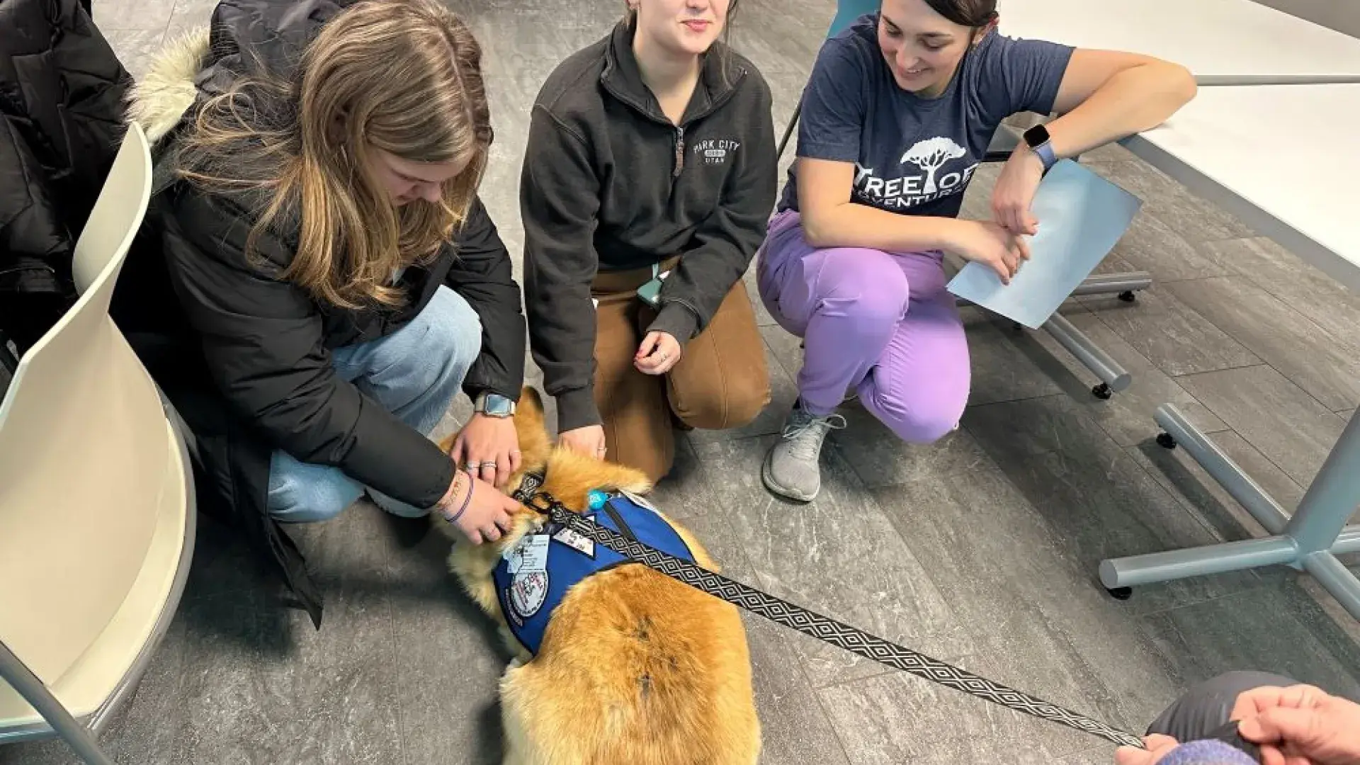 Three women pet a Corgi