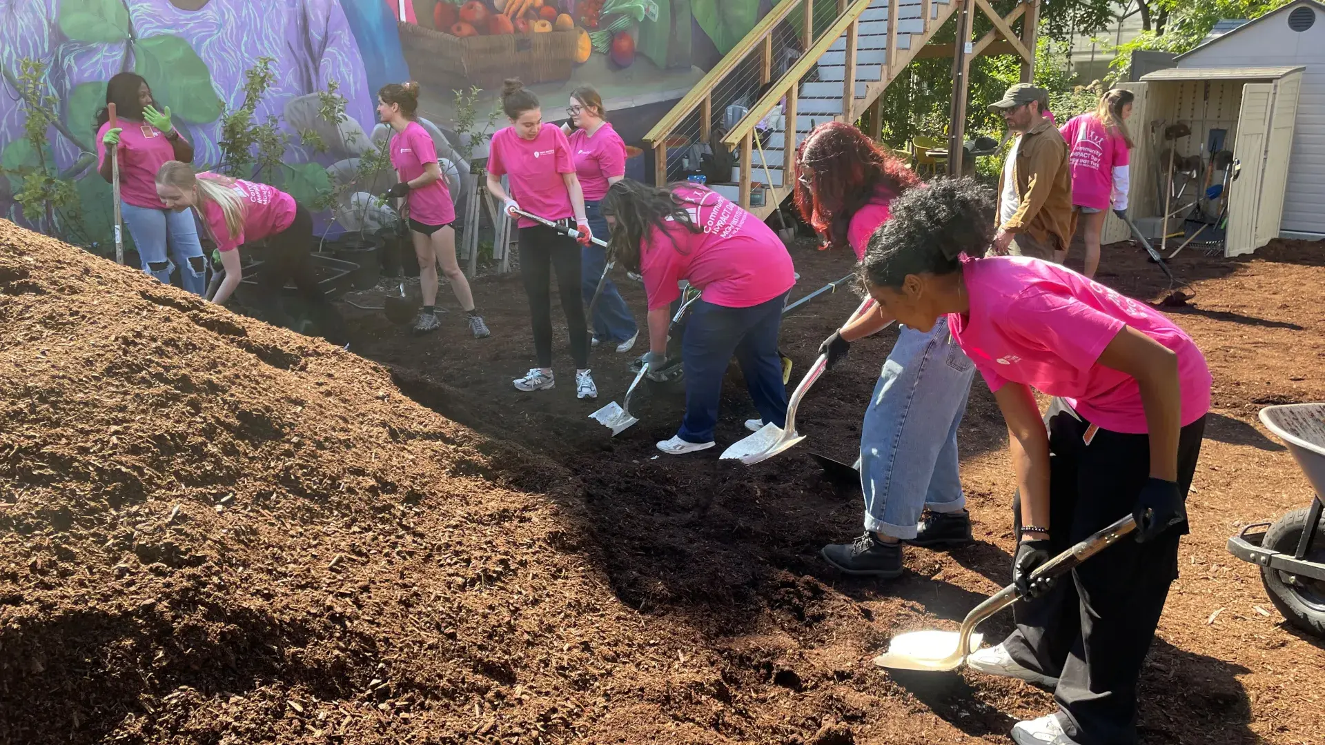 A group of people with shovels work to spread mulch