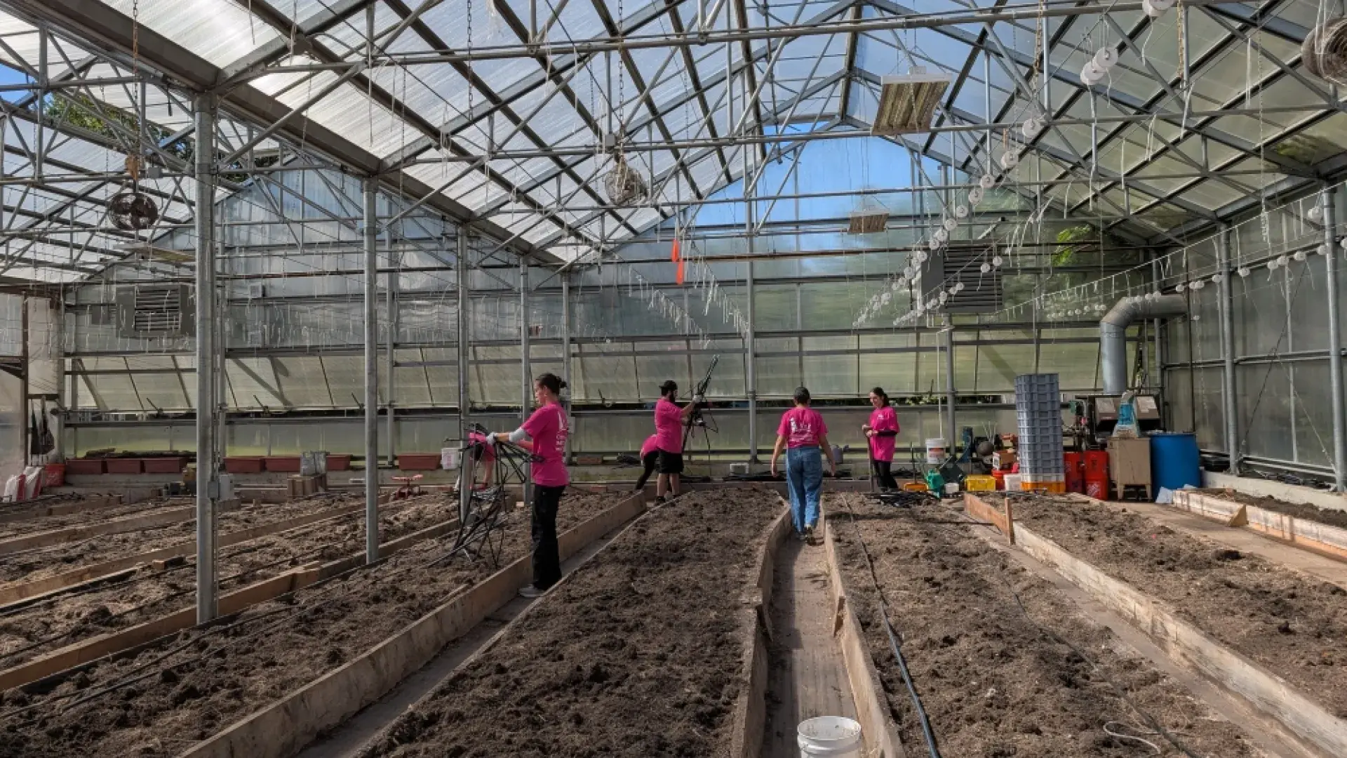 Several people work over gardening beds in a greenhouse