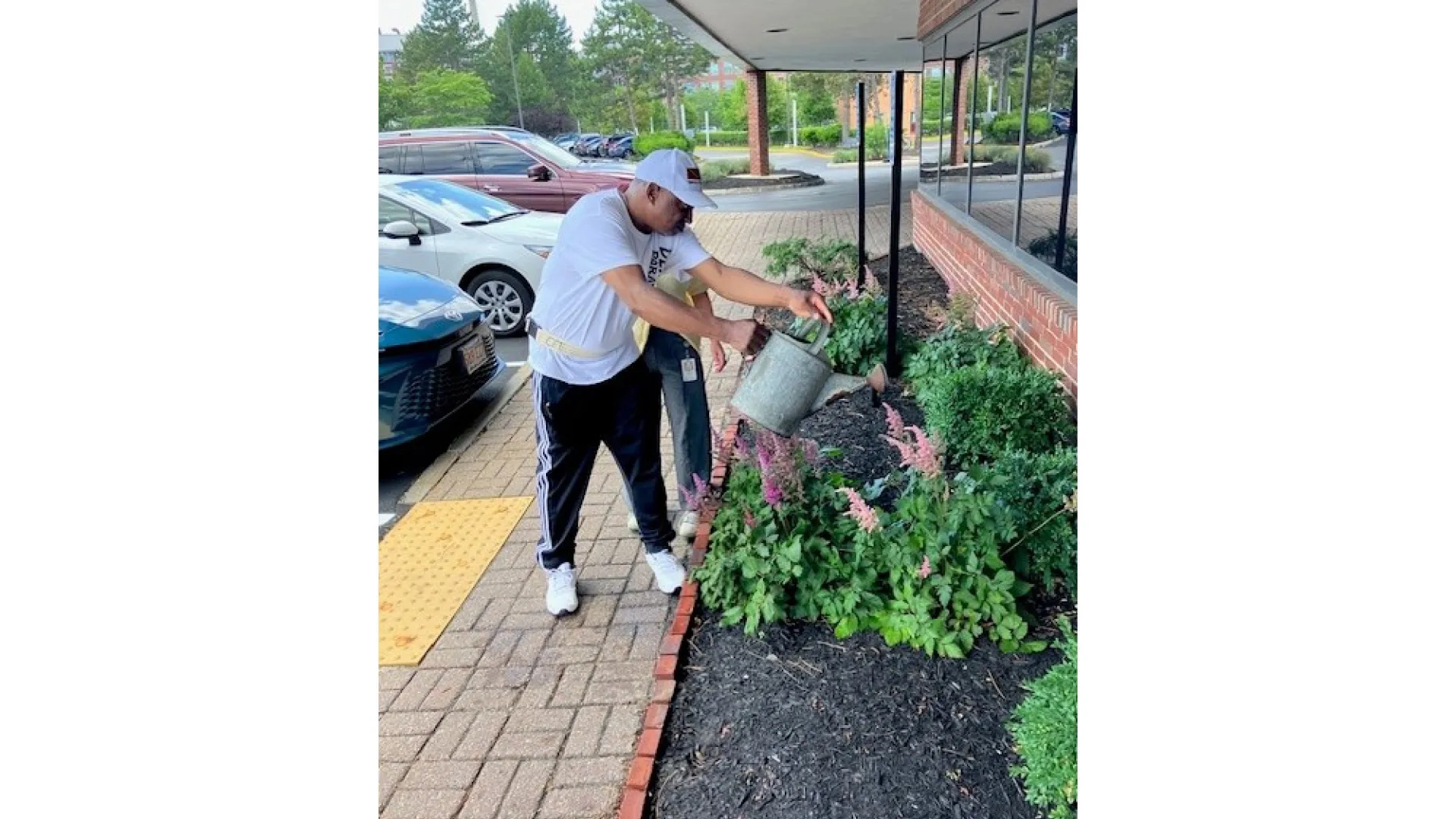 A man waters plants in an outside garden