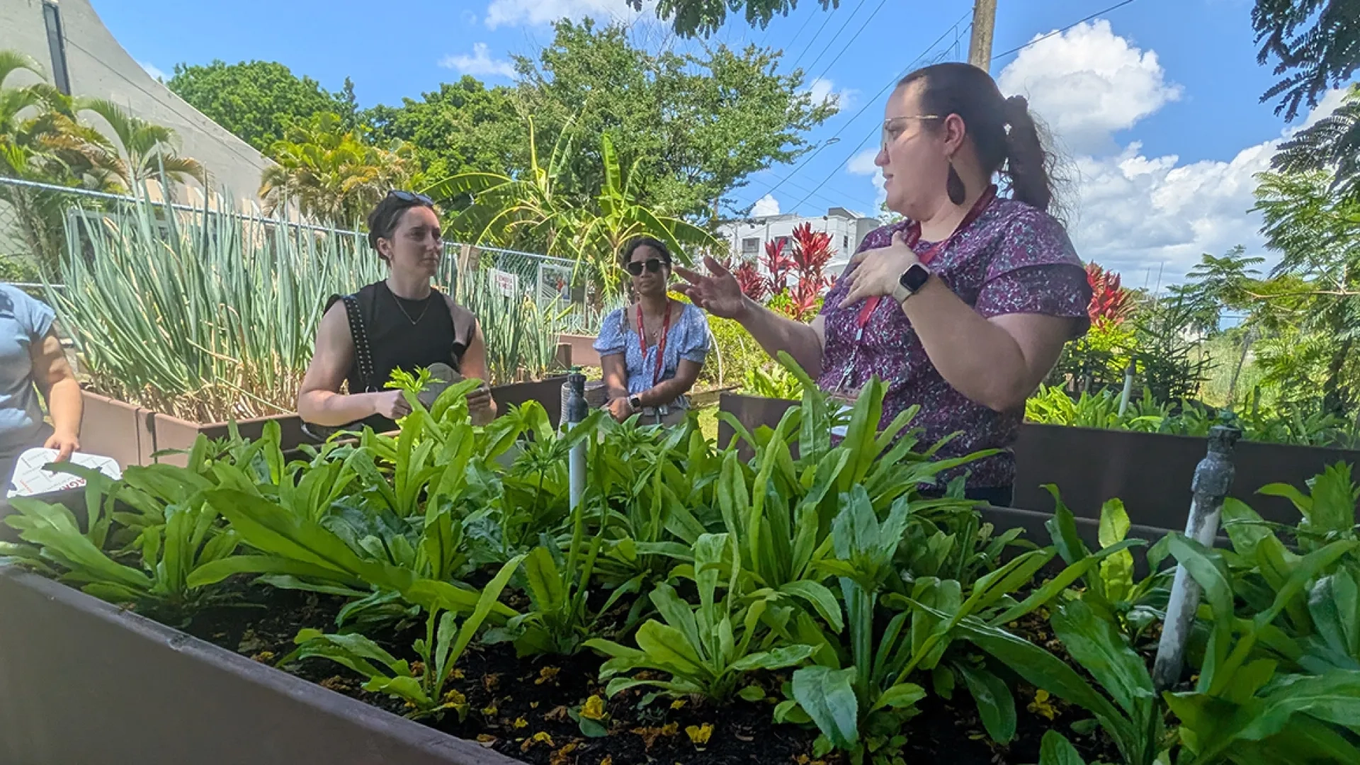 A woman near a plant bed talks to two other women about the plants