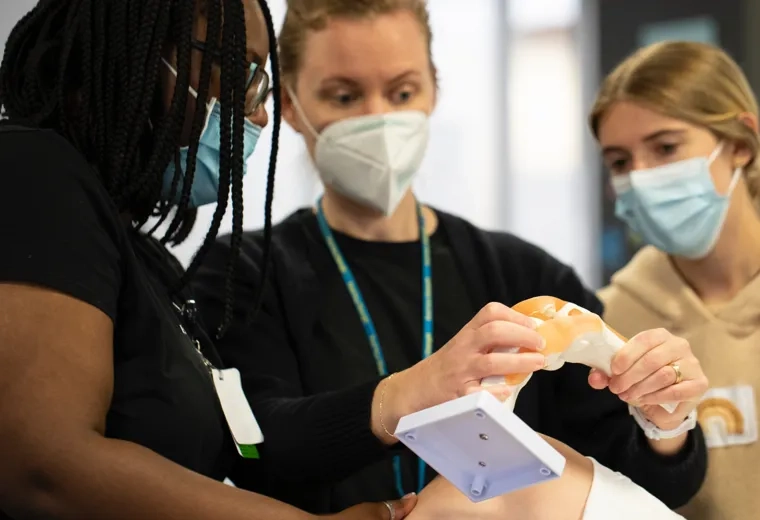 Three physical therapist looking at a model of a joint