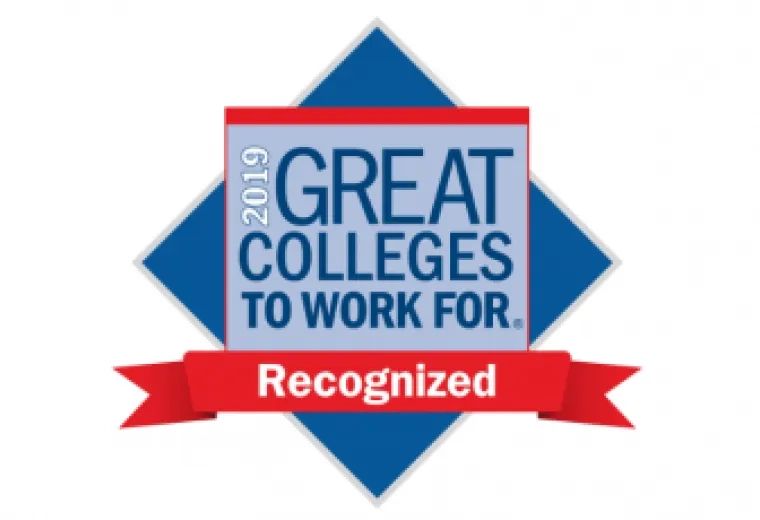 2019 Great Colleges to work for logo