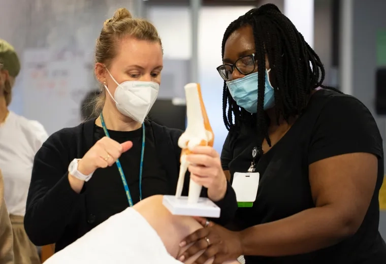 Two woman holding a replica of a knee while looking at a patients knee