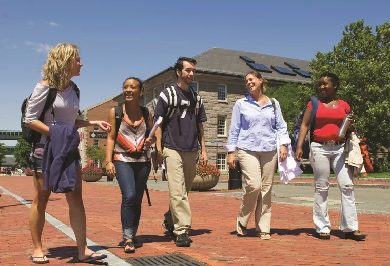 mix of students walk on a brick path