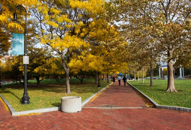Brick walkway through a park during the fall