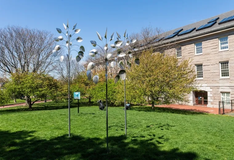 silver metal flowers on poles in green grass