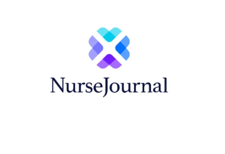 Nurse Journal 
