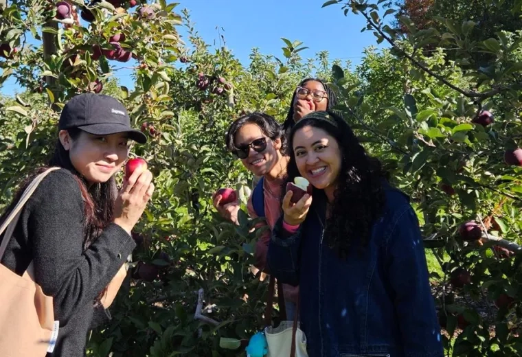 Four women hold or eat apples while standing near apple trees