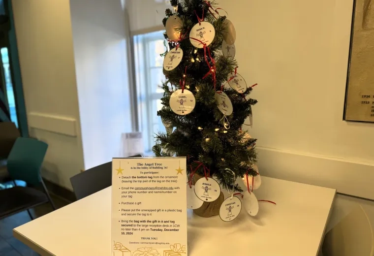 Small tree with tags. 