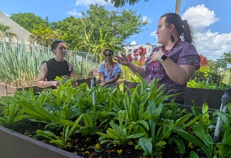 A woman near a plant bed talks to two other women about the plants