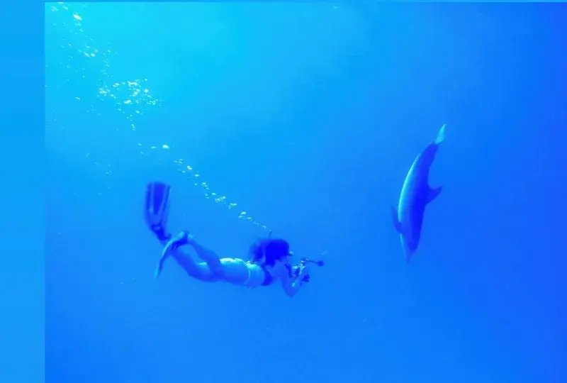 WOMAN DIVES WITH SHARK