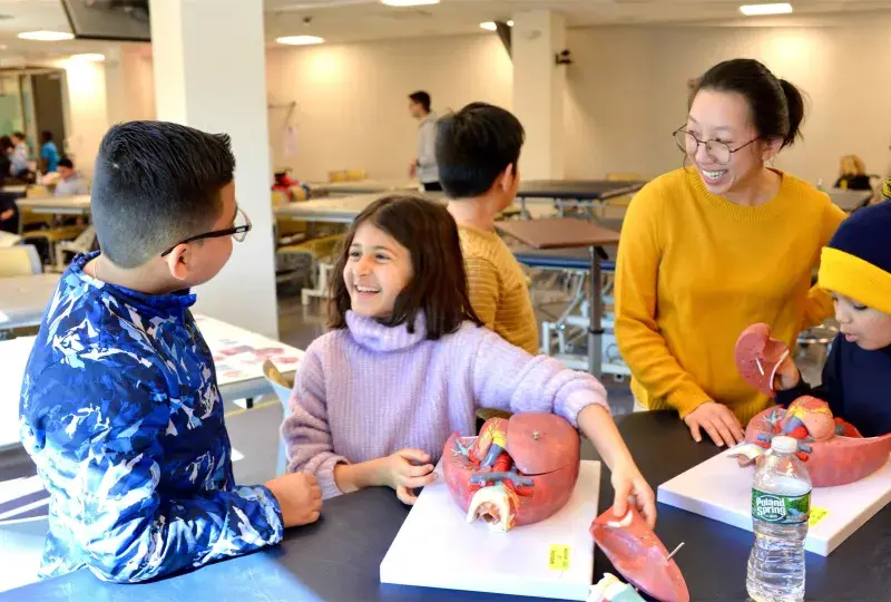 Pupils working with PT things