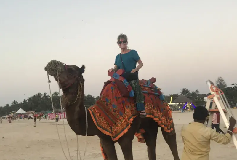 woman sits on a camel 