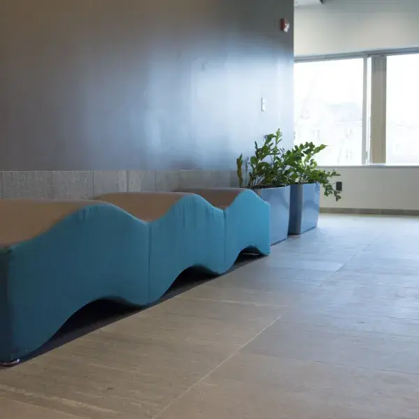 bench that looks like a blue wave in a hallway with a green fern plant