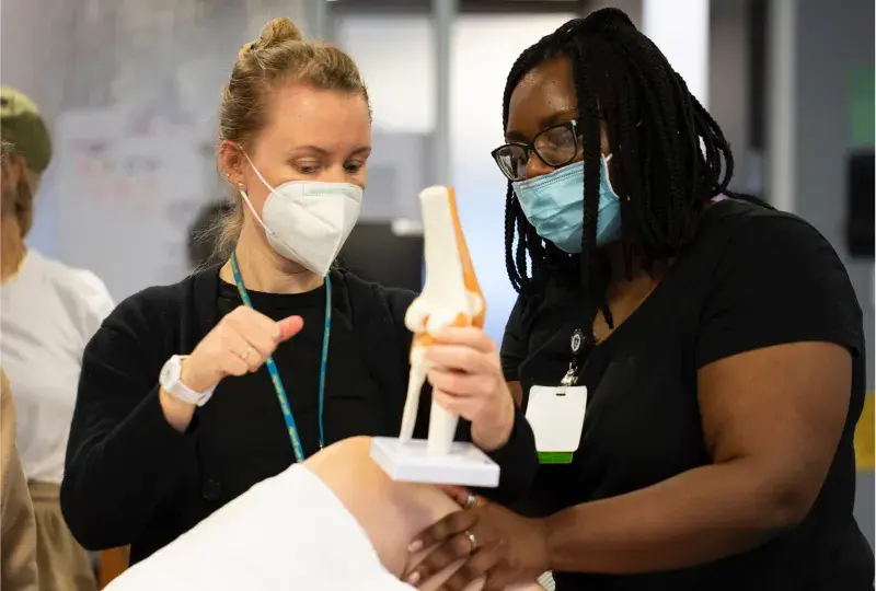 Two woman holding a replica of a knee while looking at a patients knee