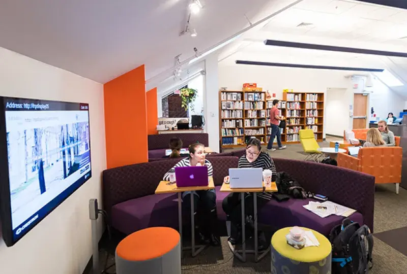 two women sit on a purple couch looking at laptops with a tall bookshelf in the background
