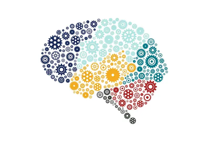 gears in rainbow colors in the shape of a brain