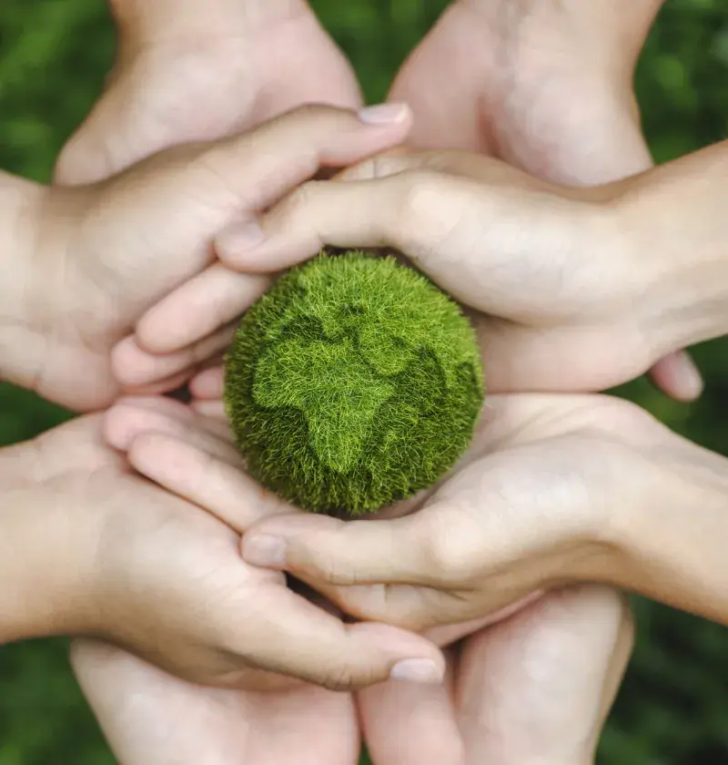 hands holding a tiny earth made of green grass